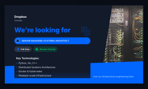 Senior Backend Systems Architect