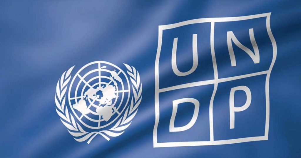 UNDP | Field Security Associate