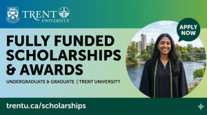 fully funded scholarships working environment