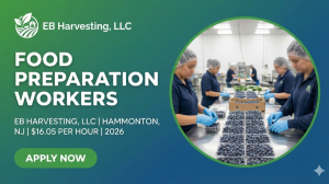 Food Preparation Workers working environment