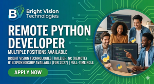 Remote Python Developer working environment