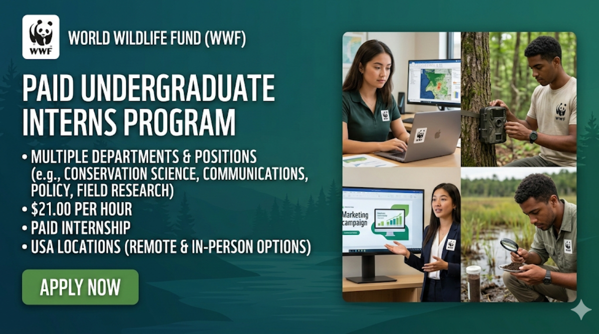 Paid WWF Undergraduate Intern working environment