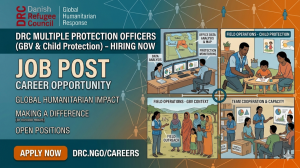 DRC Protection Officer South Sudan working environment